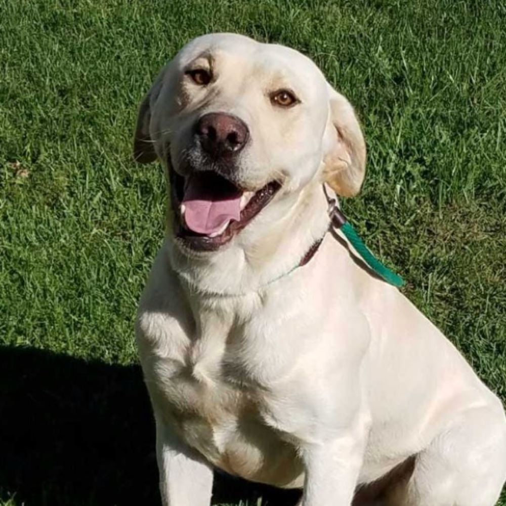 Meet your Posher, Jenni